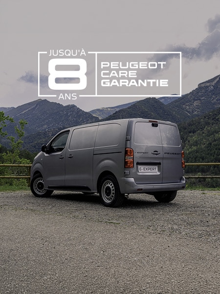 Logo PEUGEOT Expert et PEUGEOT CARE