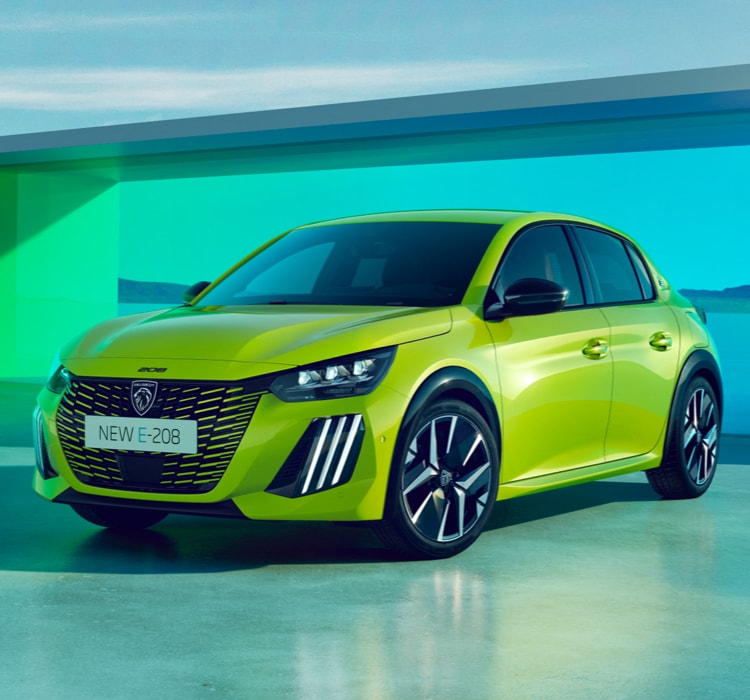 Constructeur automobile Peugeot France