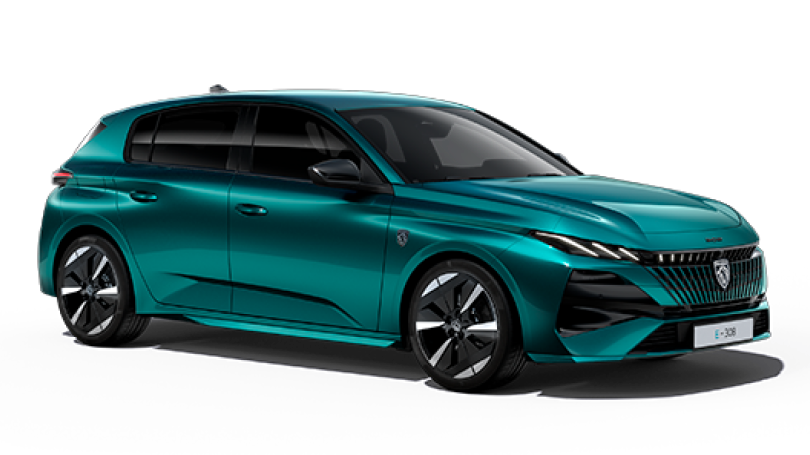 NOUVELLE E-308 - Peugeot Saint-Denis - Peugeot Paris 15 - NEUBAUER