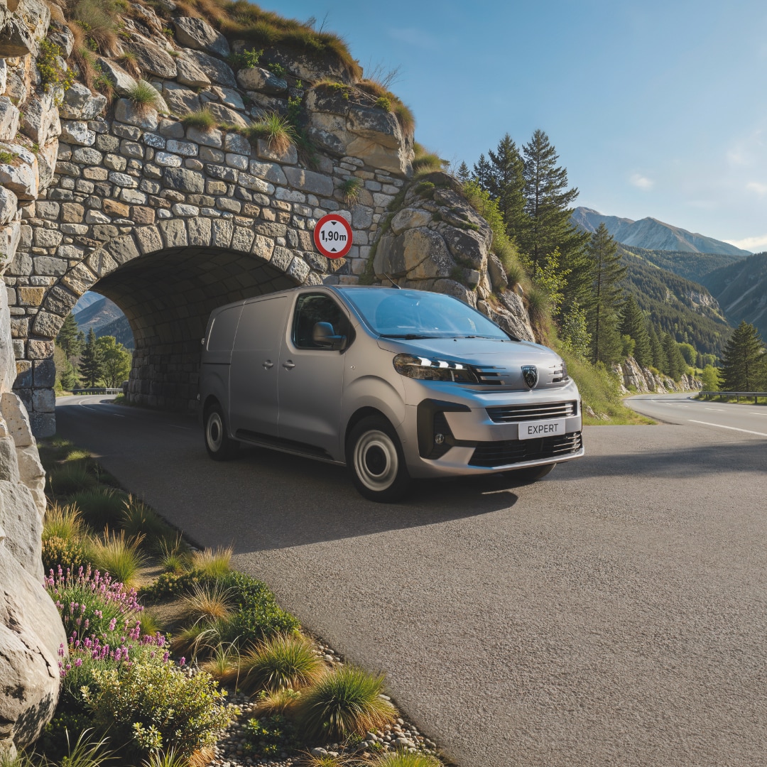 PEUGEOT EXPERT hauteur limitée à 1,90 m