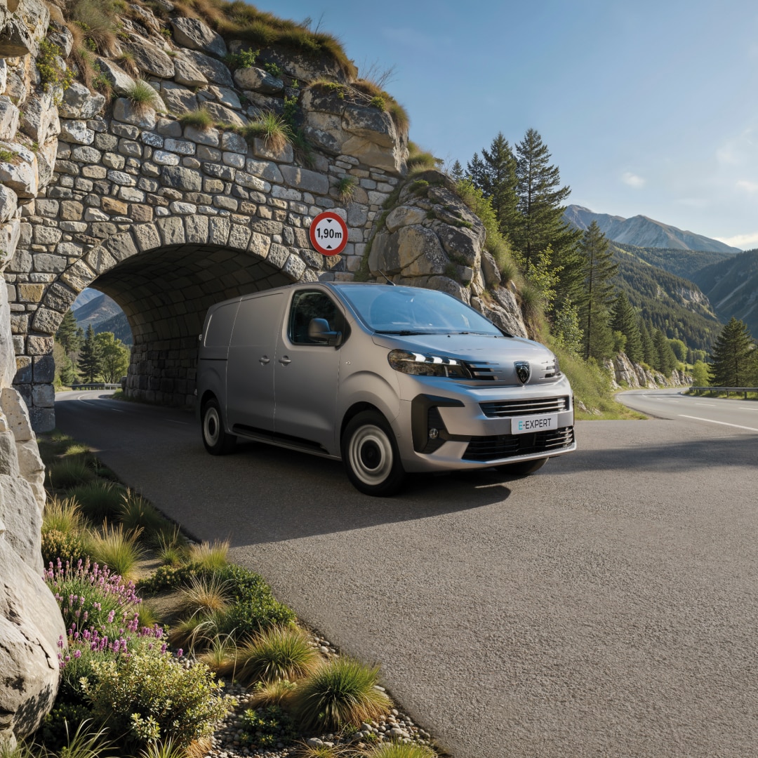 PEUGEOT E-EXPERT hauteur limitée à 1,90 m